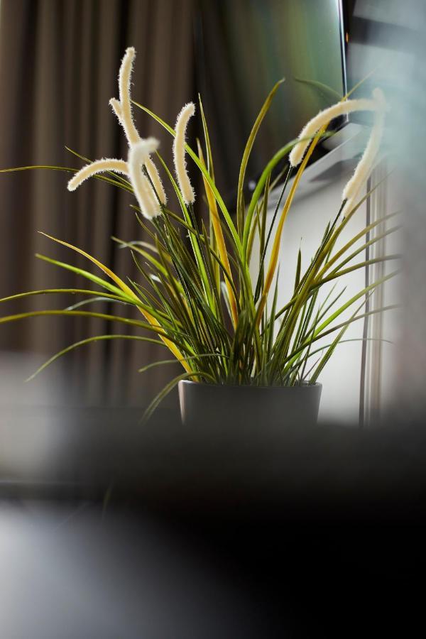 Modern Canal House Loft - City Center Amsterdam Dış mekan fotoğraf